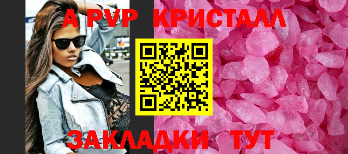 A PVP СК КРИС Саратов