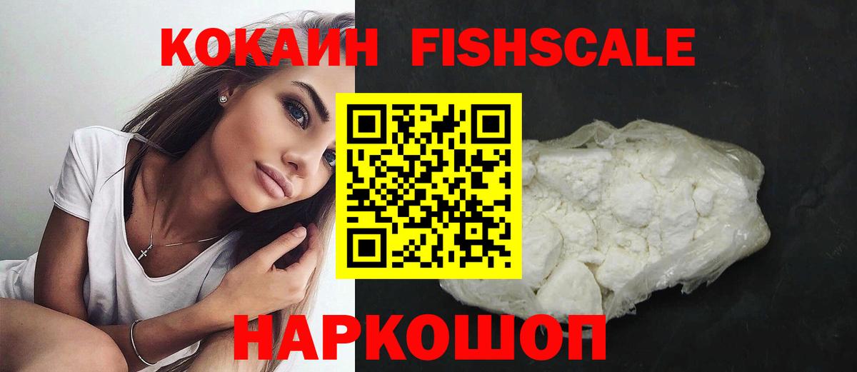 Саратов  COCAIN Fish Scale  КОКАИН Fish Scale  Вход с VPN 