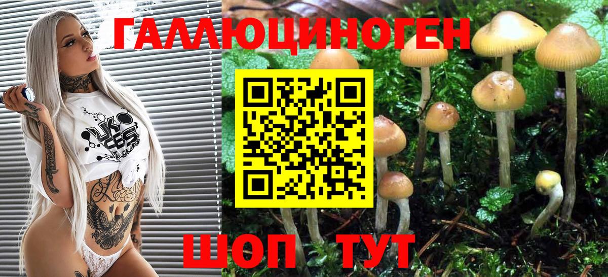 Саратов  Псилоцибиновые грибы Psilocybe  Галлюциногенные грибы мухоморы  Вход с VPN 