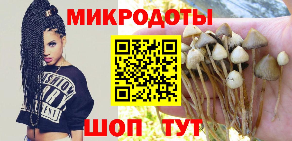 Галлюциногенные грибы Magic Shrooms Саратов